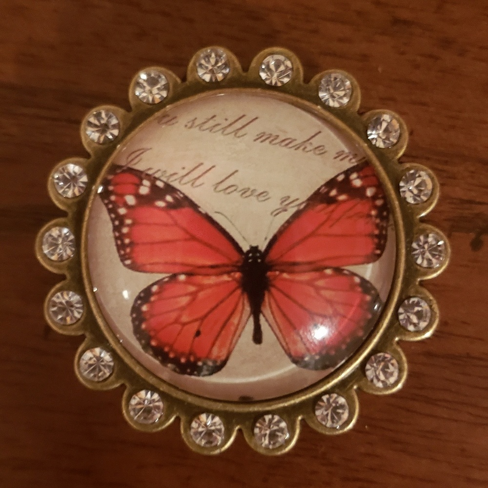 Butterfly with Crystals